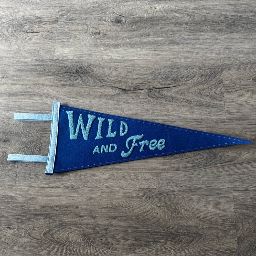 Wild and Free Wall Pennant